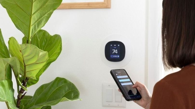 Person holds a smartphone near a wall-mounted smart thermostat showing 74°, with a leafy plant in the foreground.