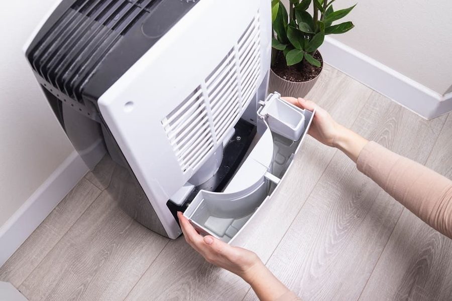 Homeowner emptying water collected in dehumidifier